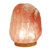 Wholesale Himalayan Salt Lamp Essential Oils Diffuser