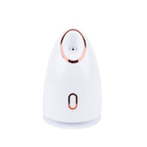 Wholesale Aroma Home Spa Ionic Facial Steamer