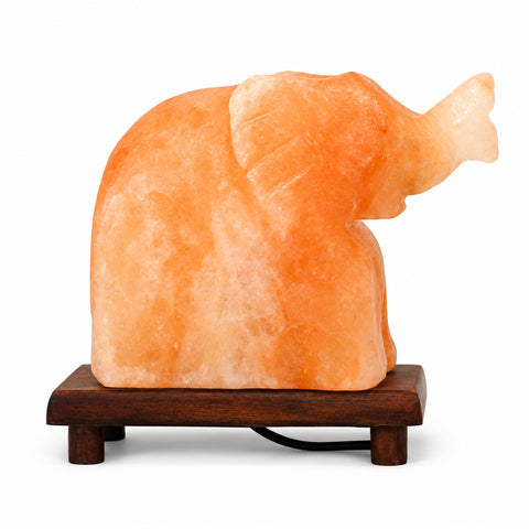 Elephant Himalayan Salt Lamp
Hand-carved elephant salt lamp
Himalayan salt lamp with amber glow
10-inch elephant salt lamp
Elephant-shaped Himalayan salt lamp
Decorative salt lamp for meditation space
Amber Himalayan salt lamp for bedroom
Hand-carved Himalayan salt décor lamp