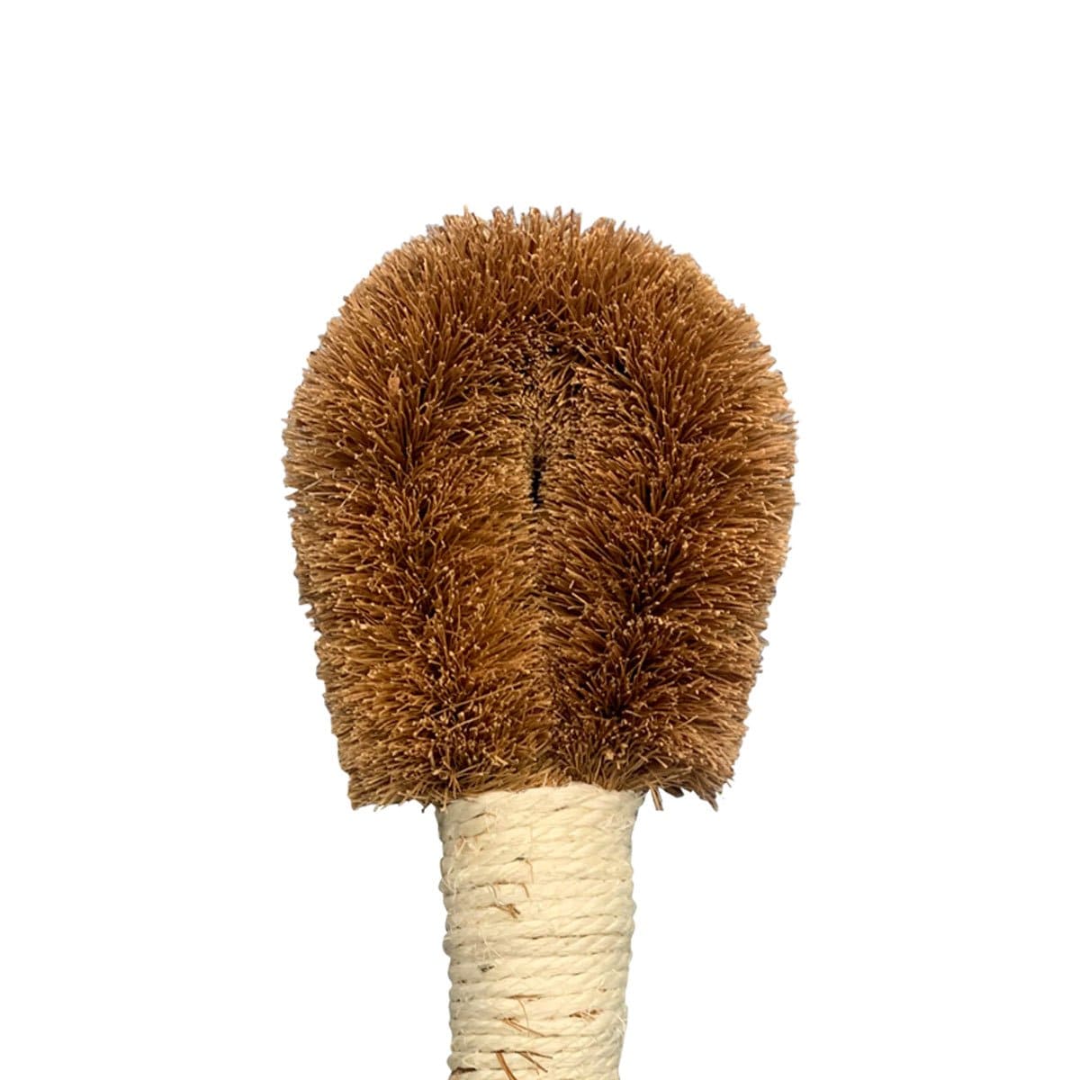 Wholesale Coconut Wet n' Dry Brush (Various Sizes)