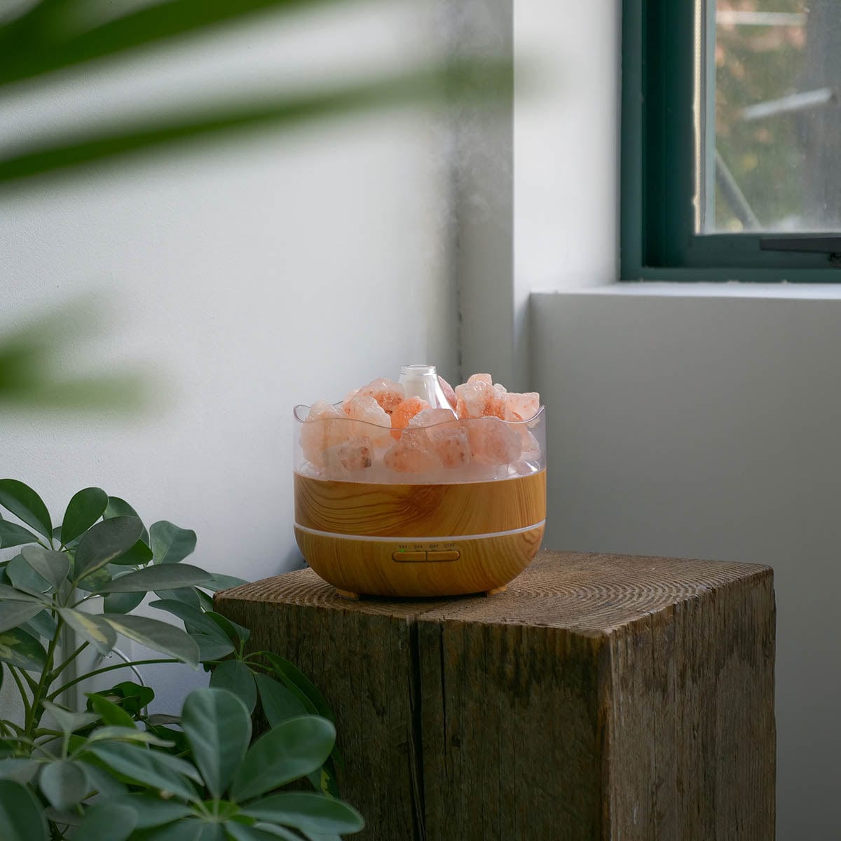 Wholesale Salt of the Earth Essential Oil Diffuser