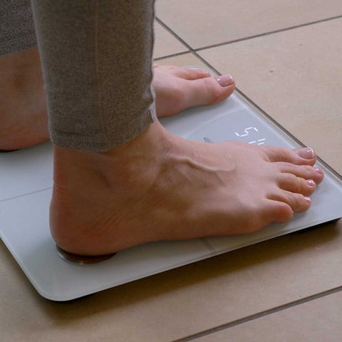 Wholesale Life Balance Body Fat Smart Scale