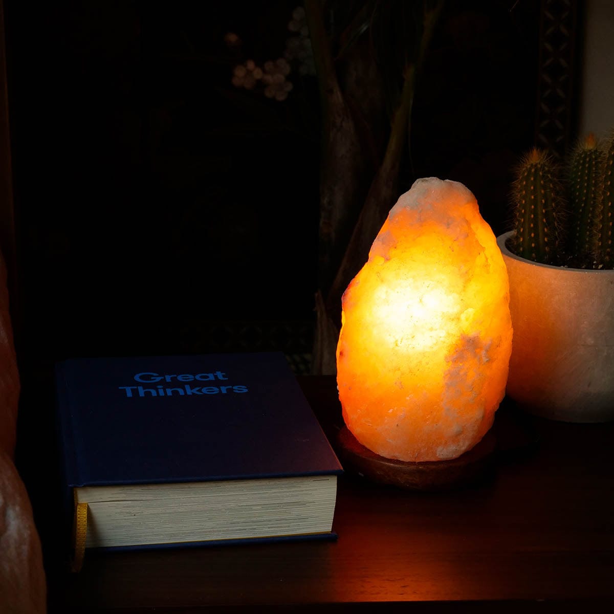 Wholesale Natural Himalayan Salt Lamps (Various Sizes 1.5kg - 22kg)