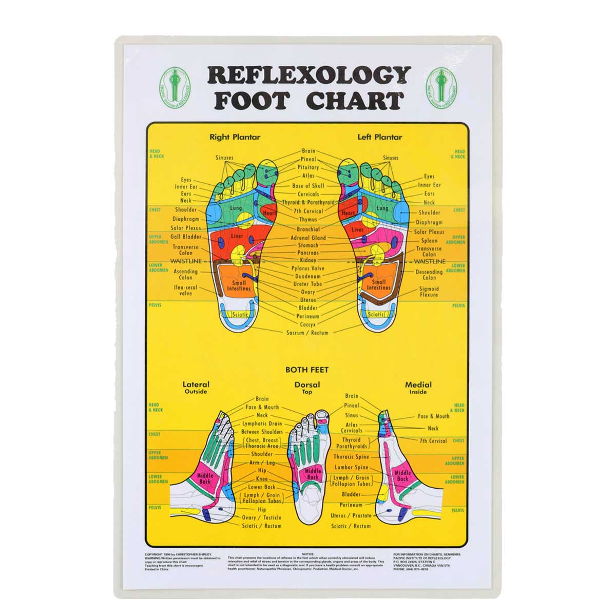 garage Du bliver bedre petulance Wholesale Foot Reflexology Chart – Relaxus Wholesale Canada