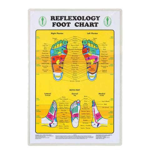 Wholesale Foot Reflexology Chart